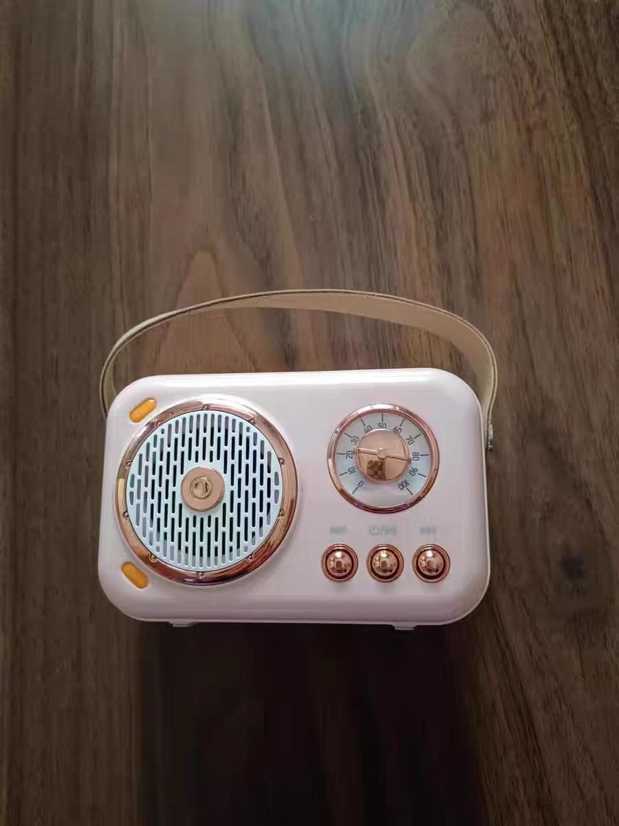 蓝牙K歌音箱